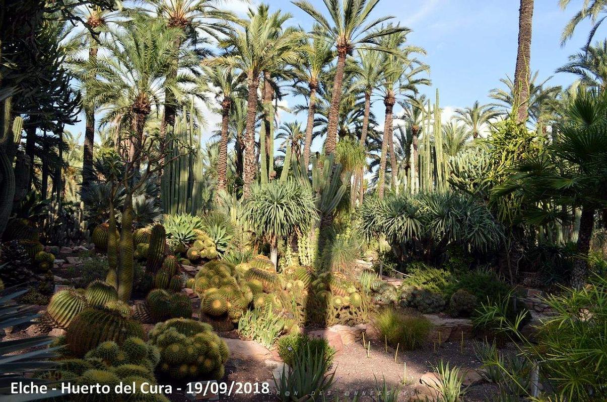 19 ELCHE HUERTO DEL CURA (109).JPG